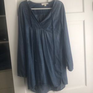 Evereve denim dress